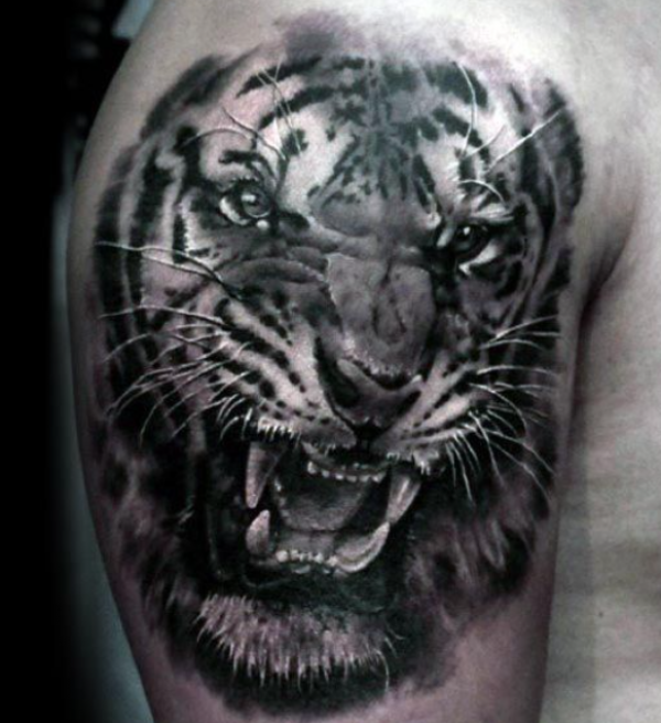 Harimau Mengaum